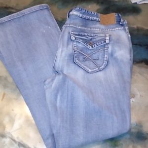 Amythest Plus Size Jeans